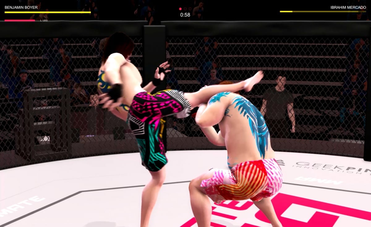 download mma pro fighter pc torent