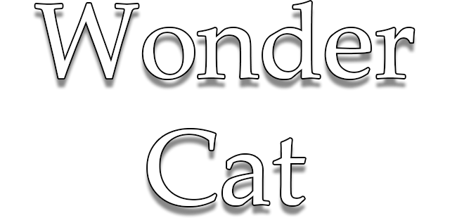 Логотип Wonder Cat