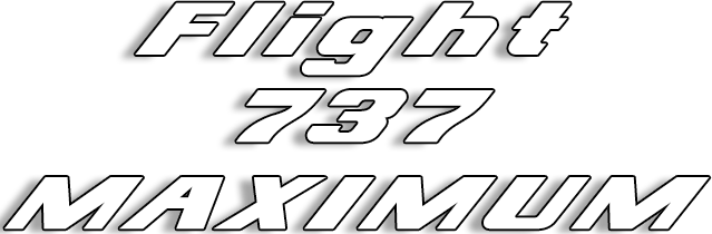 Логотип Flight 737 - MAXIMUM