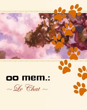 00 mem.: Le Chat