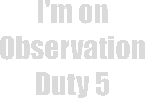 Логотип I'm on Observation Duty 5