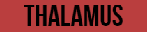 Логотип Thalamus