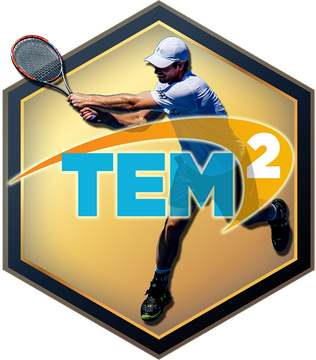 Логотип Tennis Elbow Manager 2