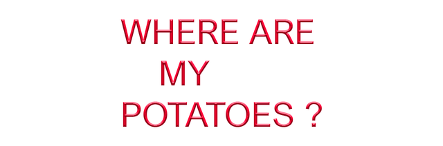 Логотип Where are my potatoes?